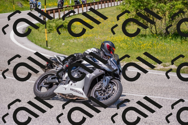 202506021151-DSC_8303_c4_