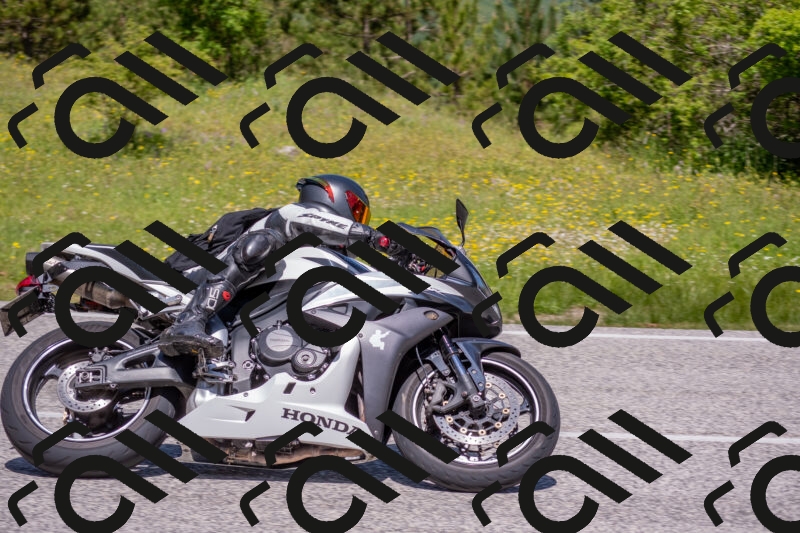 202506021151-DSC_8304_c4_