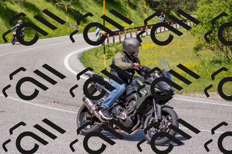 202506021152-DSC_8310_c4_