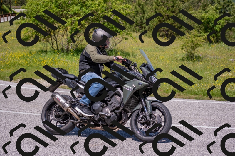 202506021152-DSC_8311_c4_