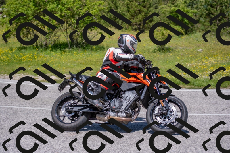 202506021152-DSC_8315_c4_