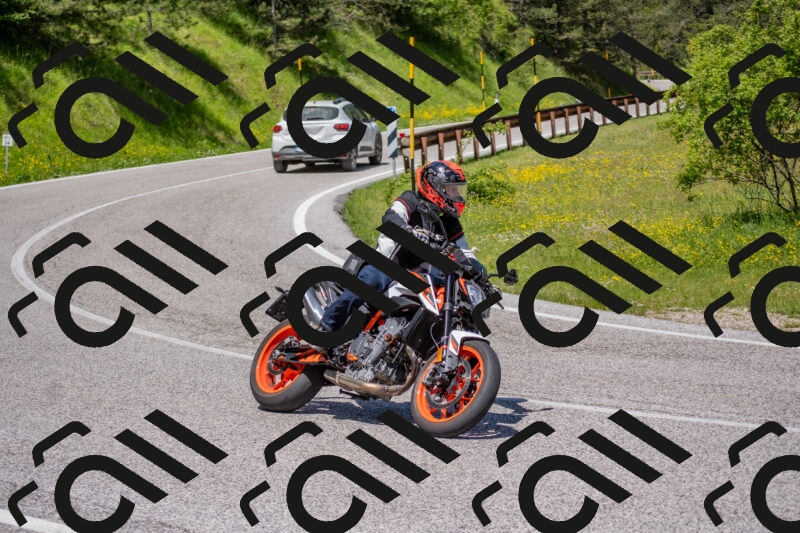 202506021152-DSC_8317_c4_