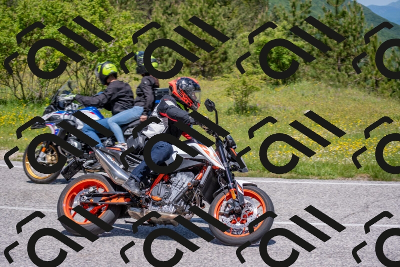 202506021152-DSC_8318_c4_