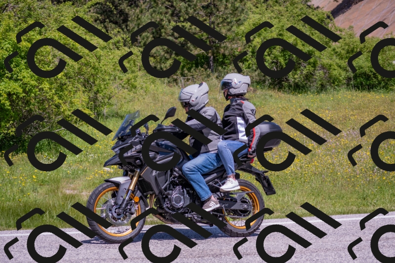 202506021152-DSC_8319_c4_