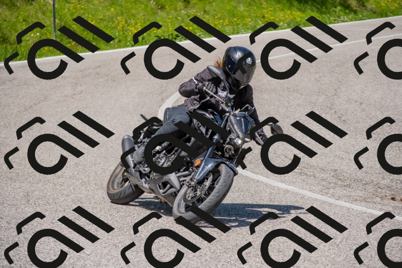 202506021152-DSC_8320_c4_