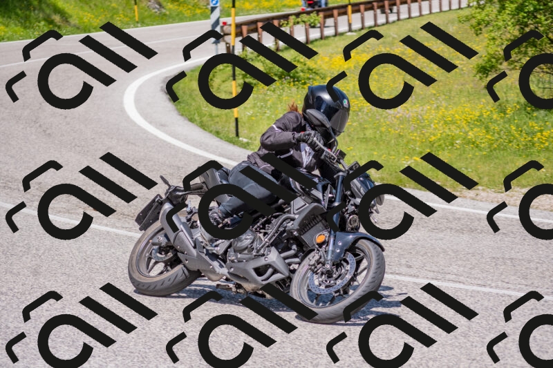 202506021152-DSC_8321_c4_