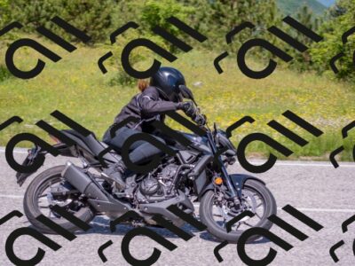 202506021152-DSC_8322_c4_