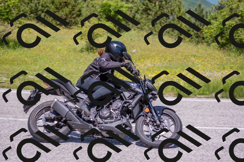 202506021152-DSC_8322_c4_