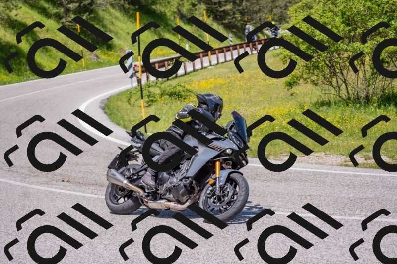 202506021152-DSC_8324_c4_