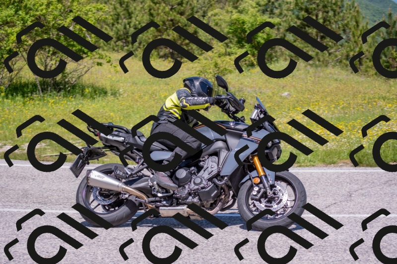 202506021152-DSC_8325_c4_