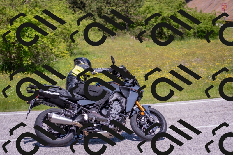 202506021152-DSC_8326_c4_