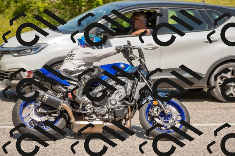 202506021152-DSC_8327_c4_