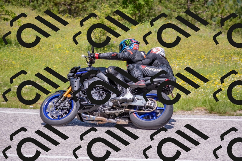 202506021152-DSC_8330_c4_