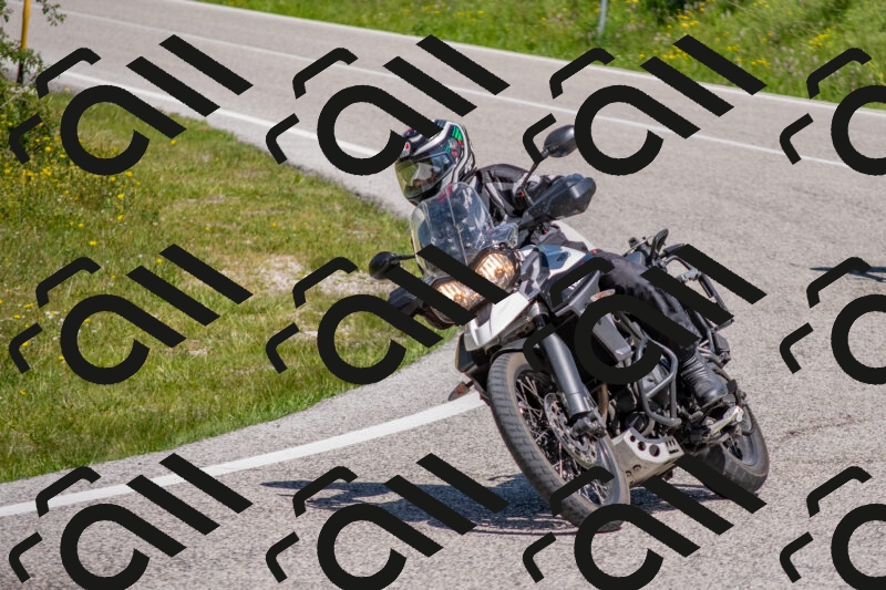 202506021153-DSC_8331_c4_