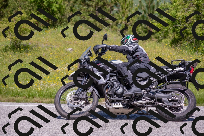 202506021153-DSC_8333_c4_