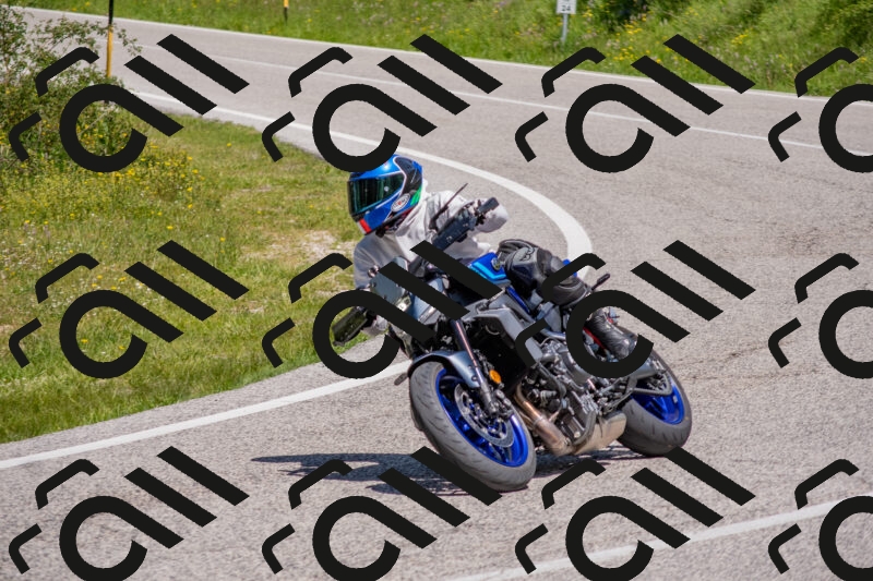 202506021153-DSC_8336_c4_