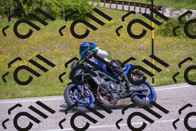 202506021153-DSC_8337_c4_