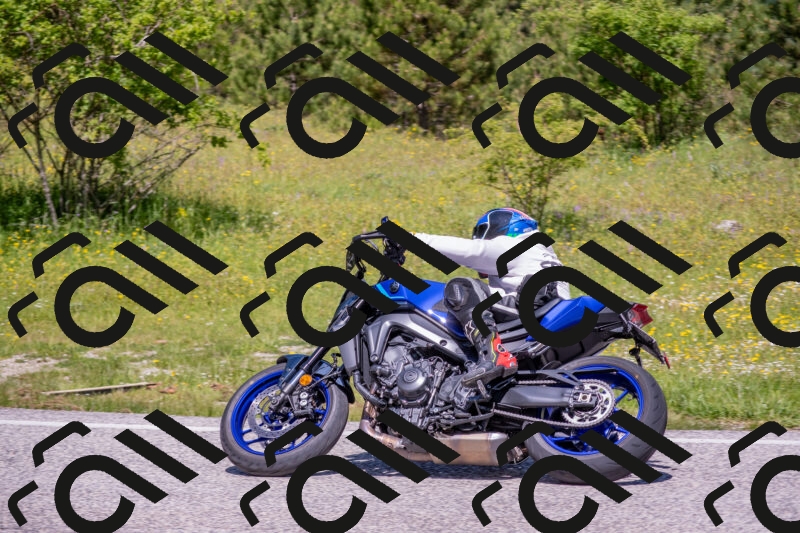 202506021153-DSC_8338_c4_