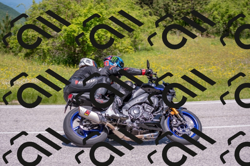 202506021153-DSC_8340_c4_