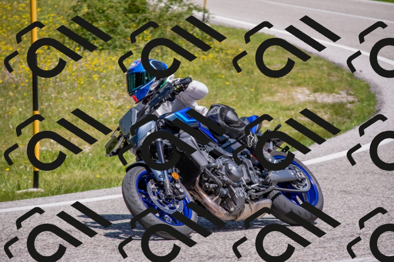 202506021154-DSC_8344_c4_