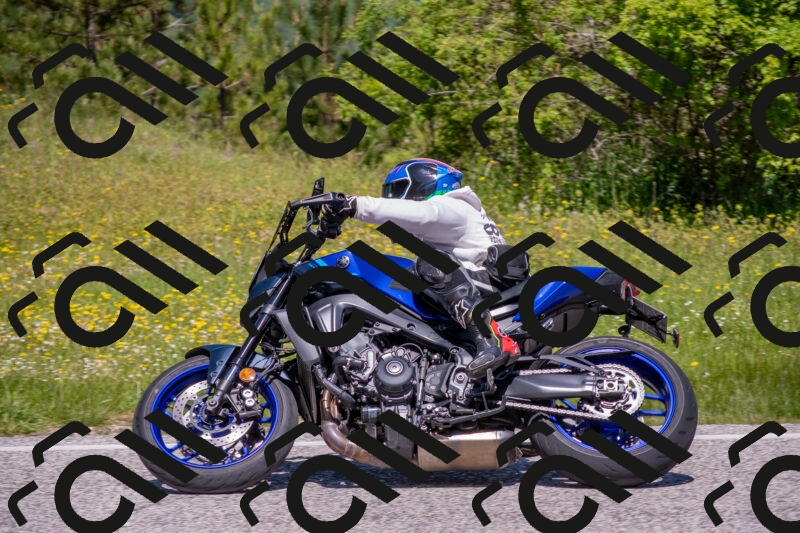 202506021154-DSC_8345_c4_