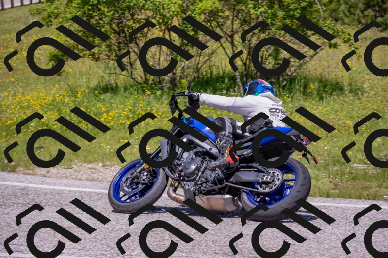 202506021154-DSC_8346_c4_