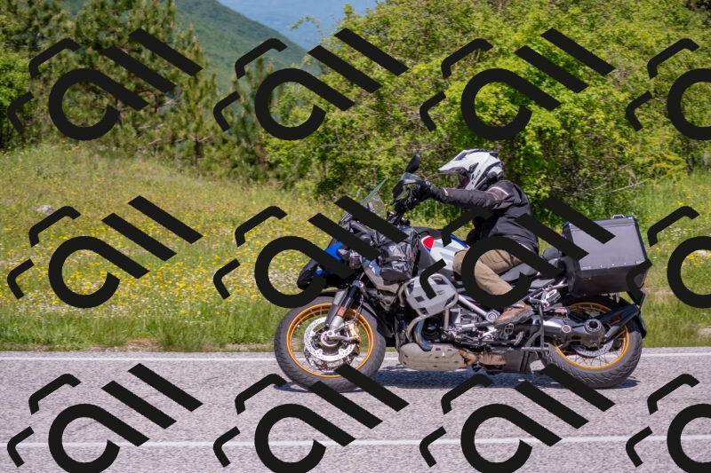 202506021154-DSC_8349_c4_