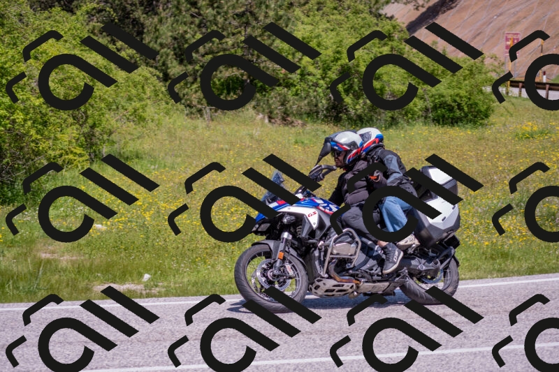 202506021154-DSC_8352_c4_