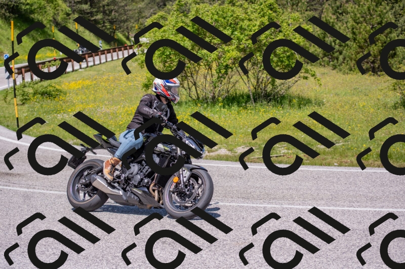 202506021154-DSC_8354_c4_