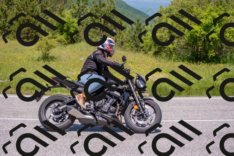 202506021154-DSC_8355_c4_