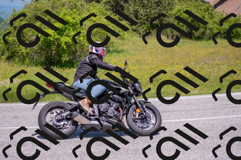 202506021154-DSC_8356_c4_