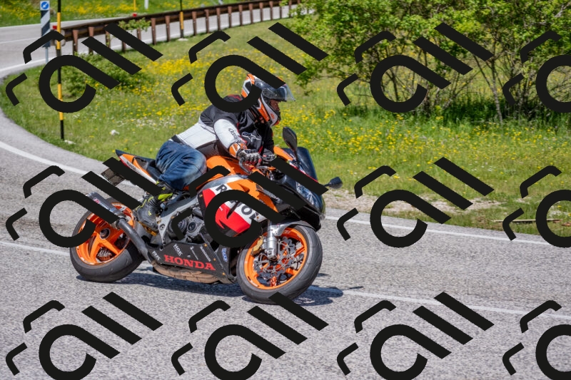 202506021155-DSC_8358_c4_