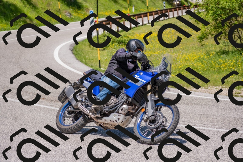 202506021155-DSC_8359_c4_