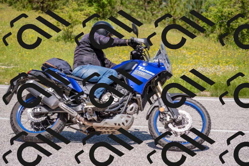 202506021155-DSC_8360_c4_