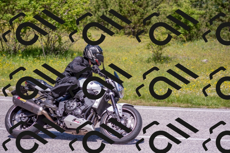 202506021155-DSC_8363_c4_