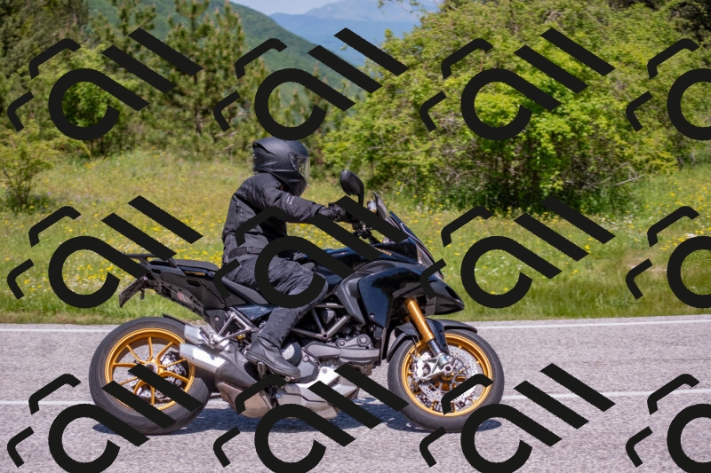 202506021155-DSC_8366_c4_