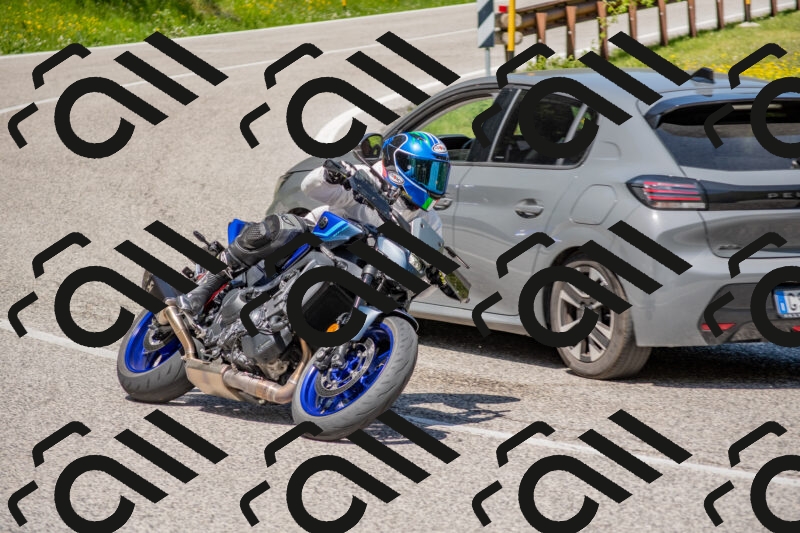 202506021155-DSC_8367_c4_