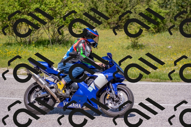 202506021155-DSC_8369_c4_