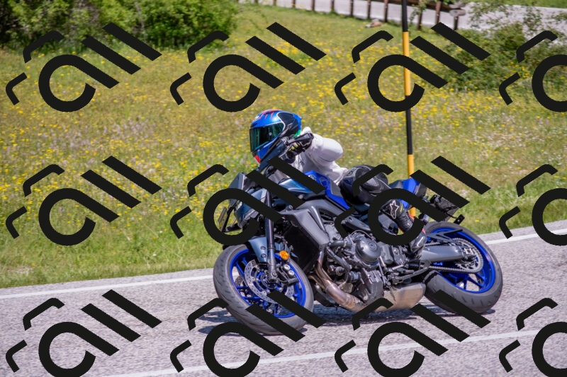 202506021155-DSC_8371_c4_