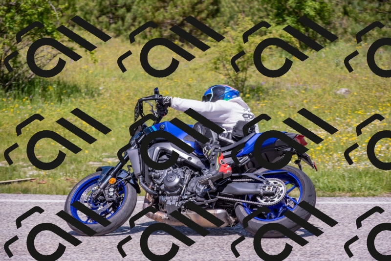 202506021155-DSC_8372_c4_