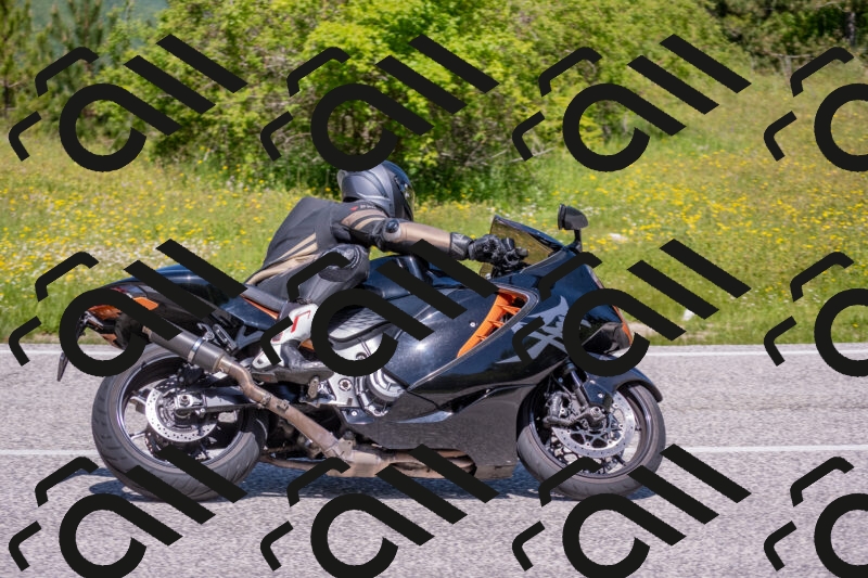 202506021155-DSC_8375_c4_