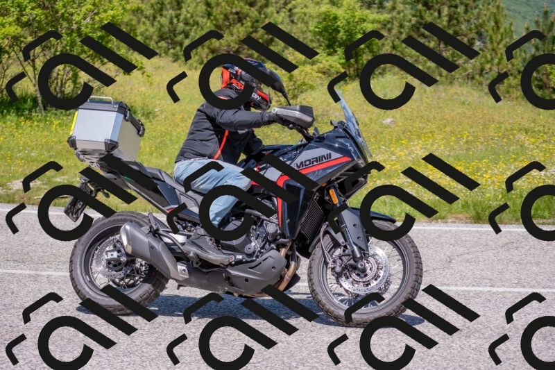 202506021155-DSC_8377_c4_