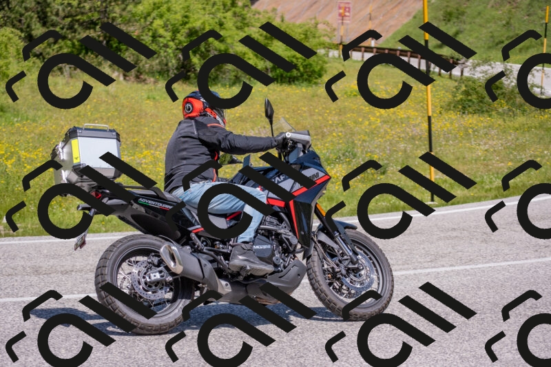 202506021155-DSC_8378_c4_