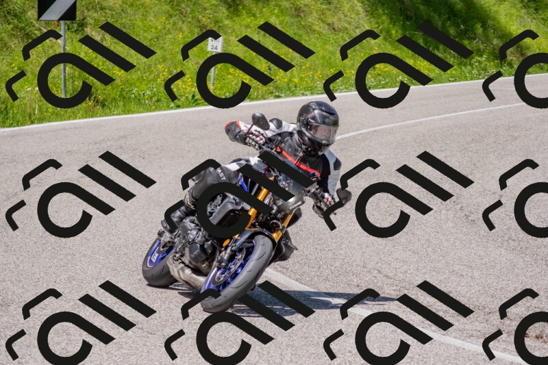 202506021156-DSC_8383_c4_