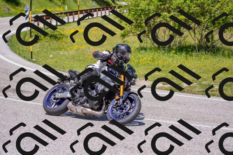 202506021156-DSC_8384_c4_