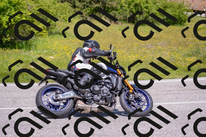 202506021156-DSC_8385_c4_