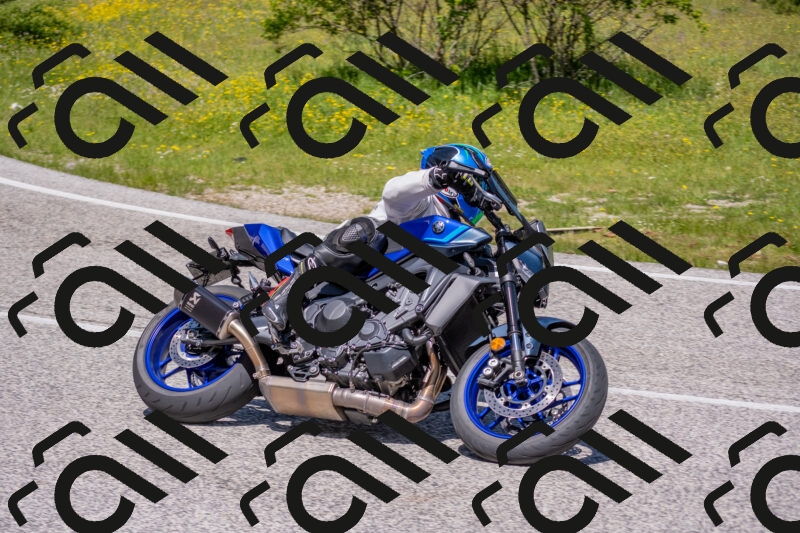 202506021156-DSC_8387_c4_