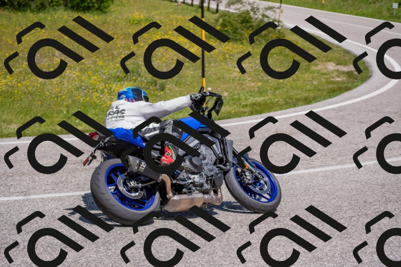 202506021156-DSC_8388_c4_