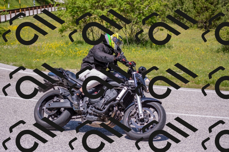 202506021156-DSC_8390_c4_