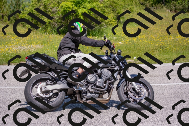 202506021156-DSC_8391_c4_